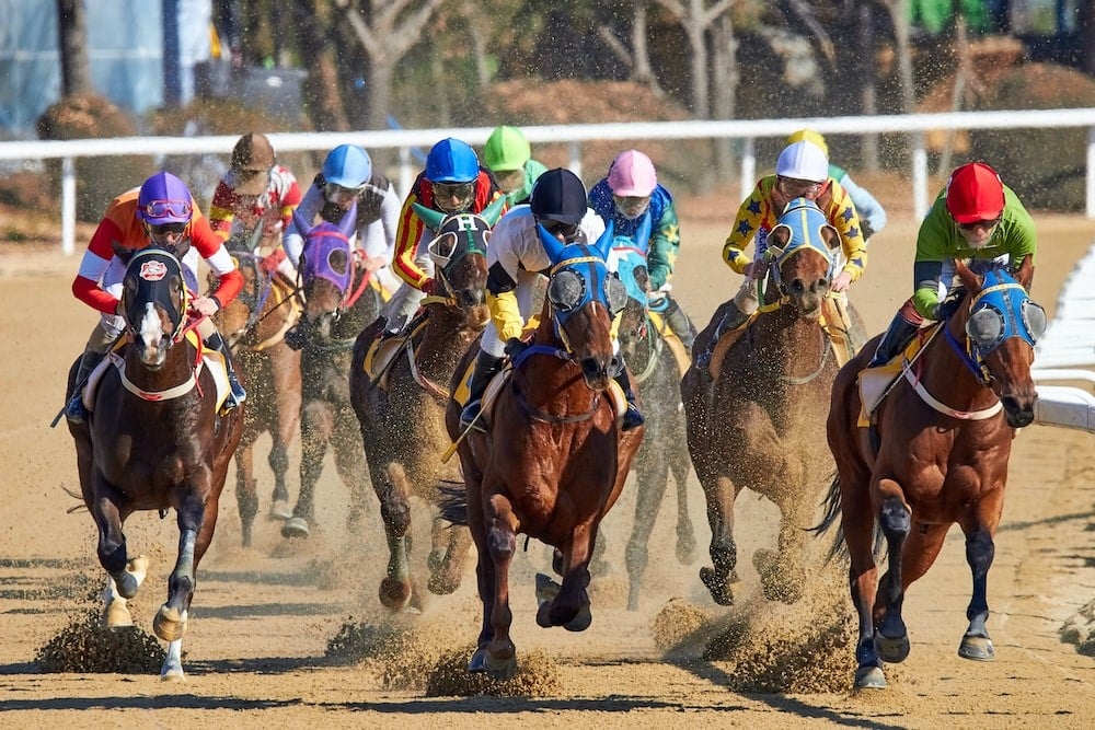 What is distance horse racing? Heres what you need to know about it!