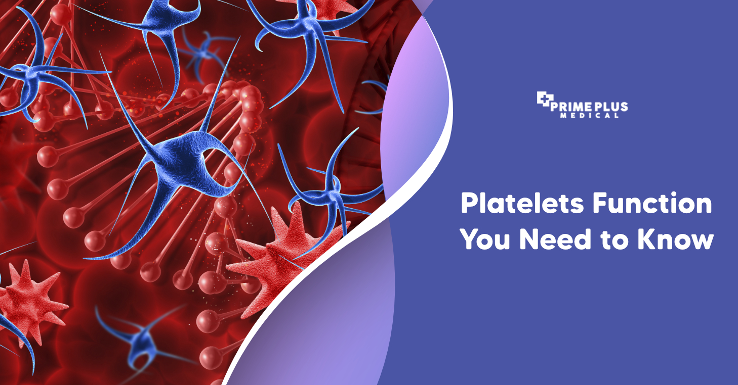 What is a platel? Heres everything you should know about platel!
