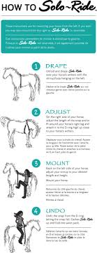 How to Suit a Horse Correctly Step-by-Step Guide for Beginners and Tips