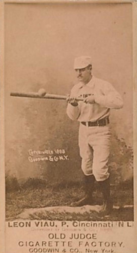 Lee Viau Baseball: The Ultimate Guide, Get the Facts Now!