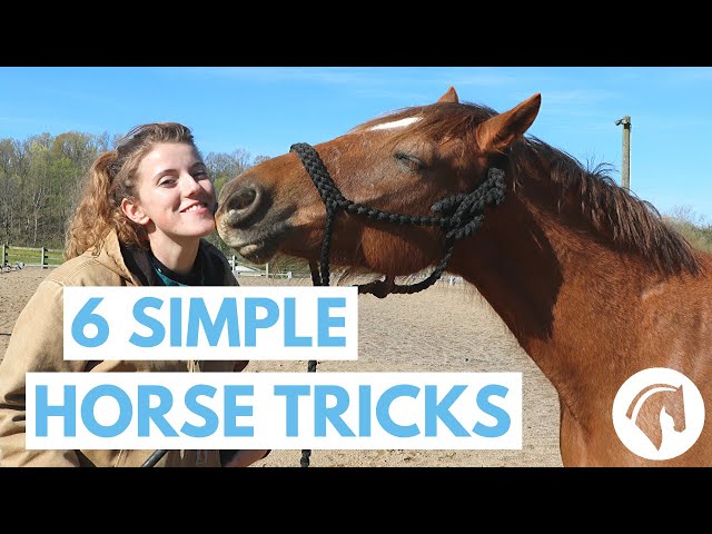 The Best Way to Spell Thoroughbred, Simple Tricks for You!