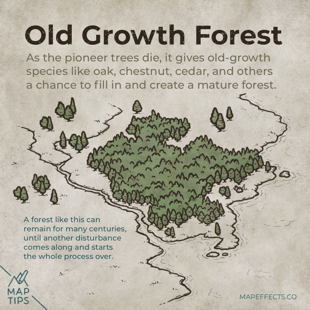 Need Fantasy Map Trees? Top Design Tricks for Beginners.