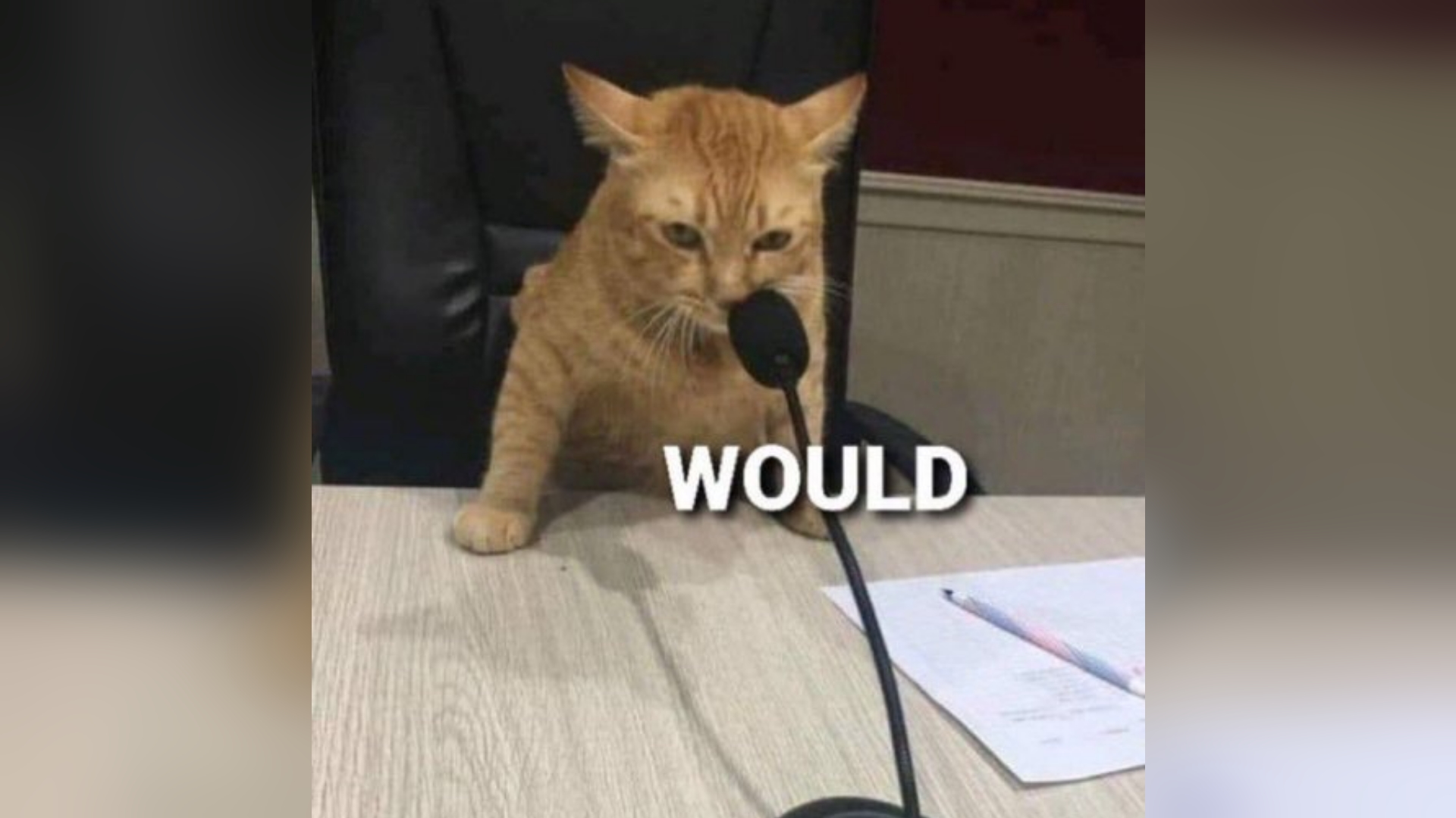 Looking for a funny would reaction meme? Here are some really great examples now.