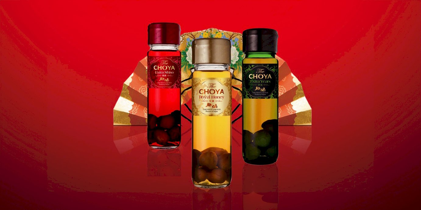 La Choya: What Is It? (Simple Guide to Everything La Choya)