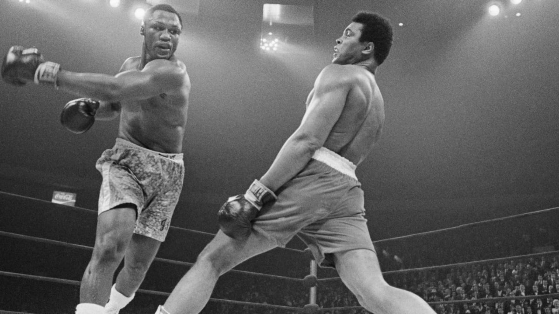 Learn from the Best Defensive Boxers: Quick Guide!