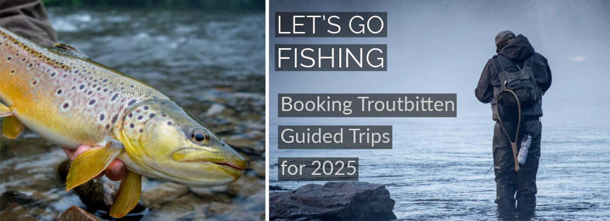 Best Ham Fisher Gear 2024 (Must-Have Rods, Reels & More!)