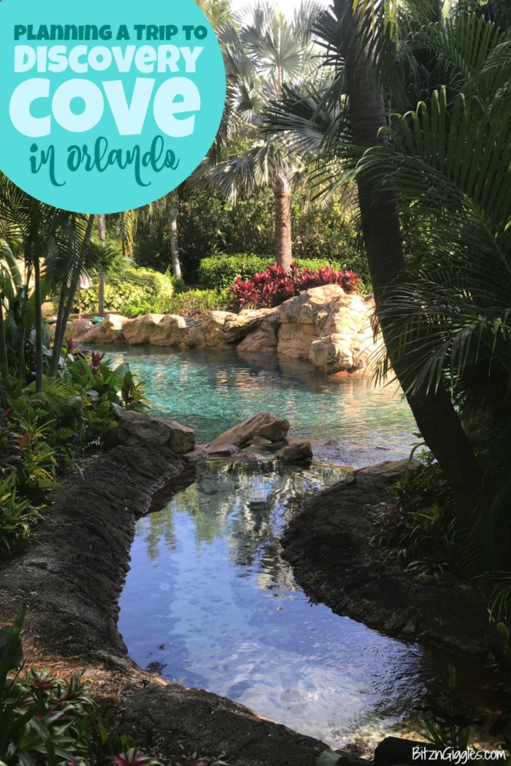 Planning on visiting Corey Cove sometime soon? Get the very best travel tips for an awesome, memorable trip.