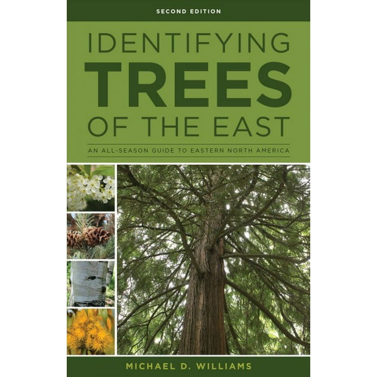 Having trouble identifying an east coast tree? Use this simple visual guide to figure it out quickly.