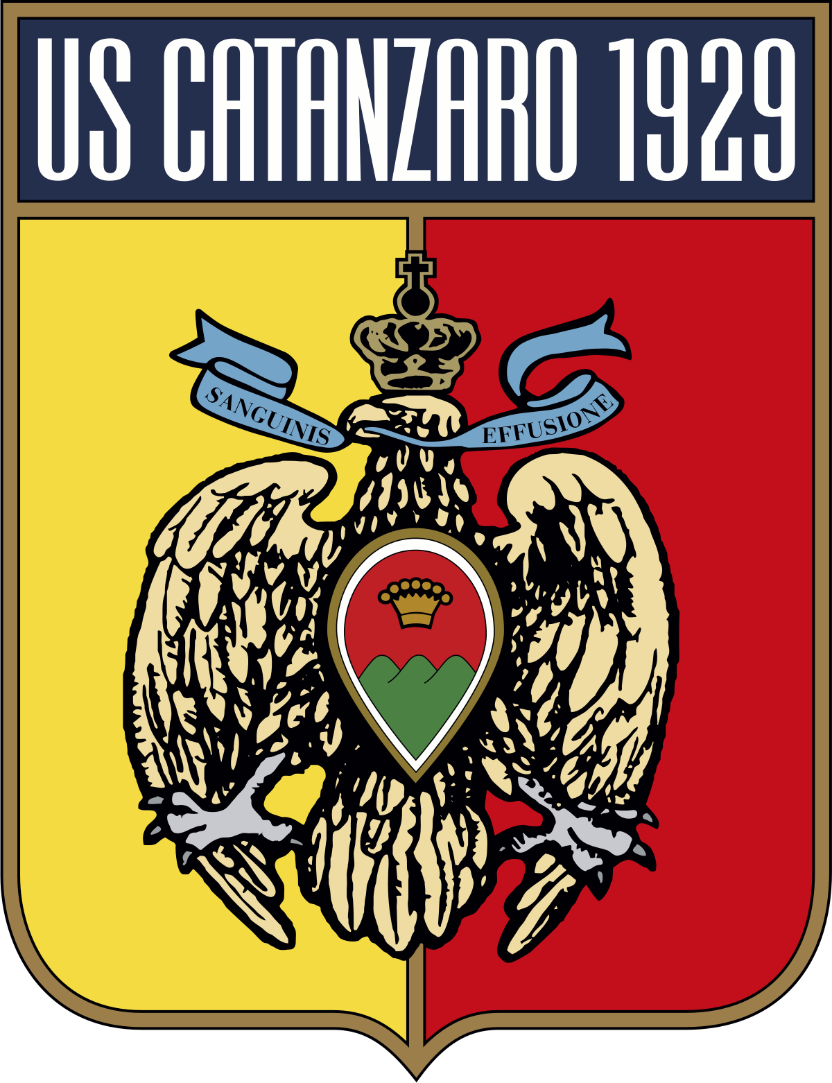Catanzaro FC: All you need to know about the team!