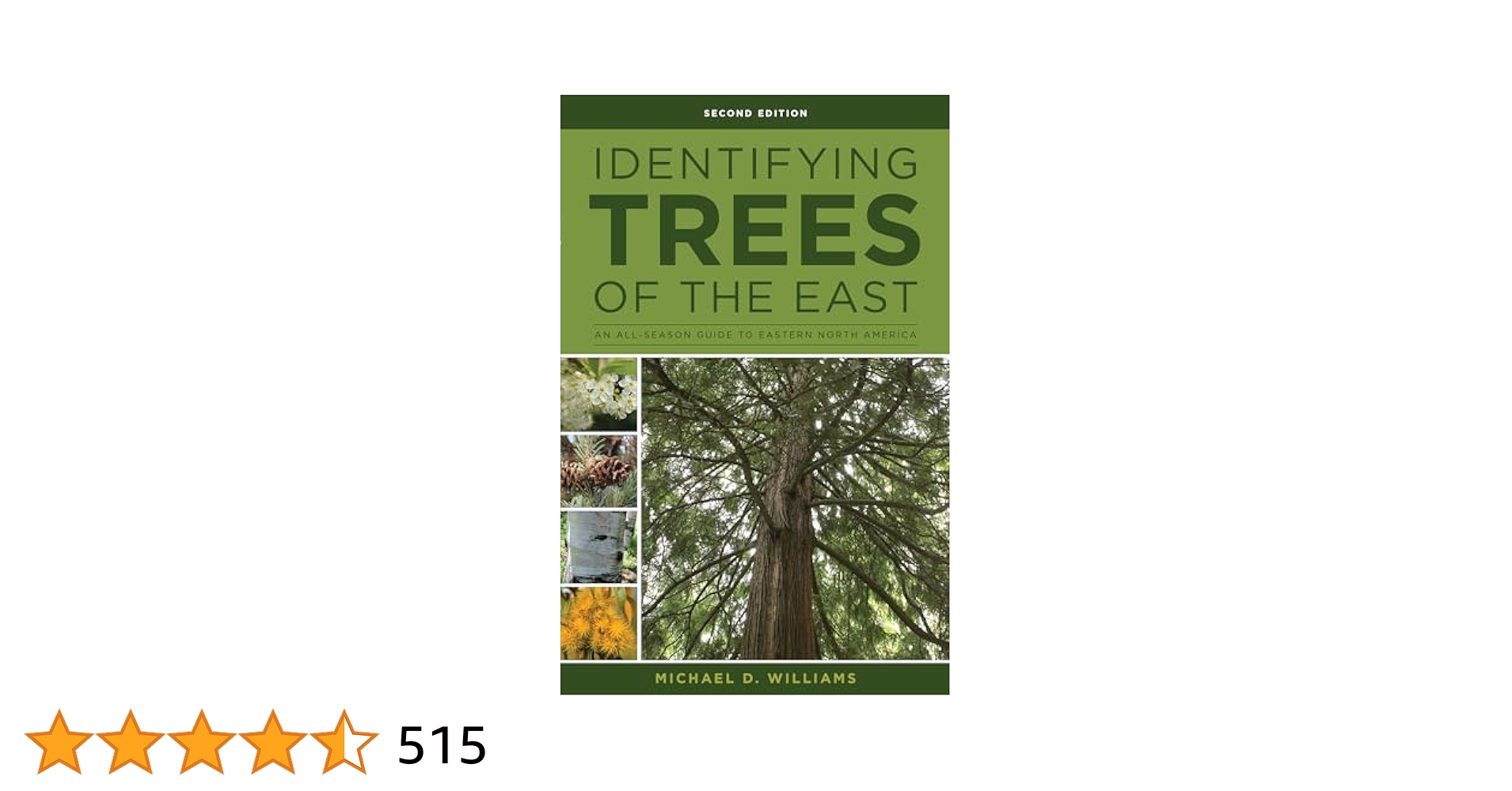 Having trouble identifying an east coast tree? Use this simple visual guide to figure it out quickly.
