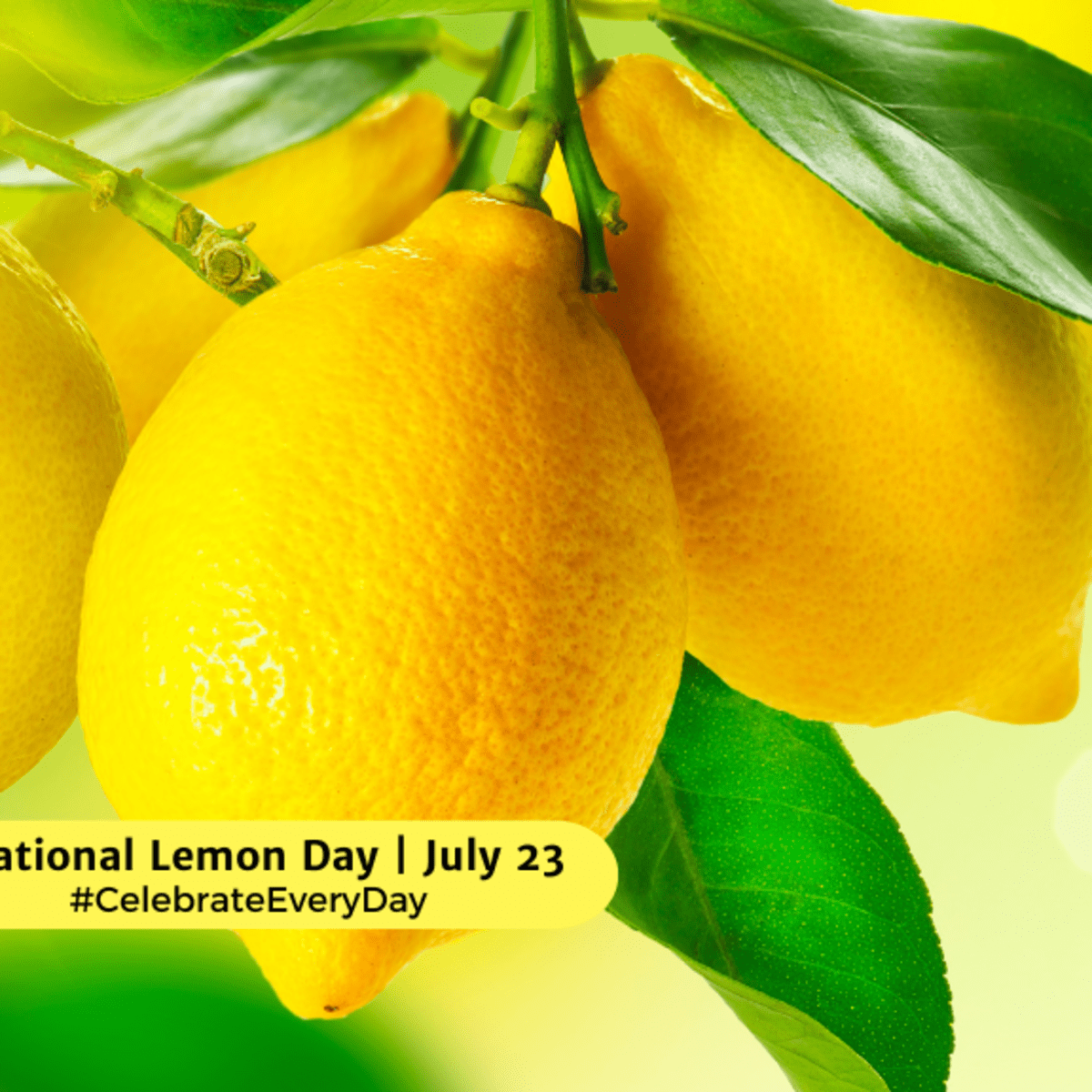 Why should you join the national lemon drop day fun? Discover great reasons to enjoy this tasty candy holiday.
