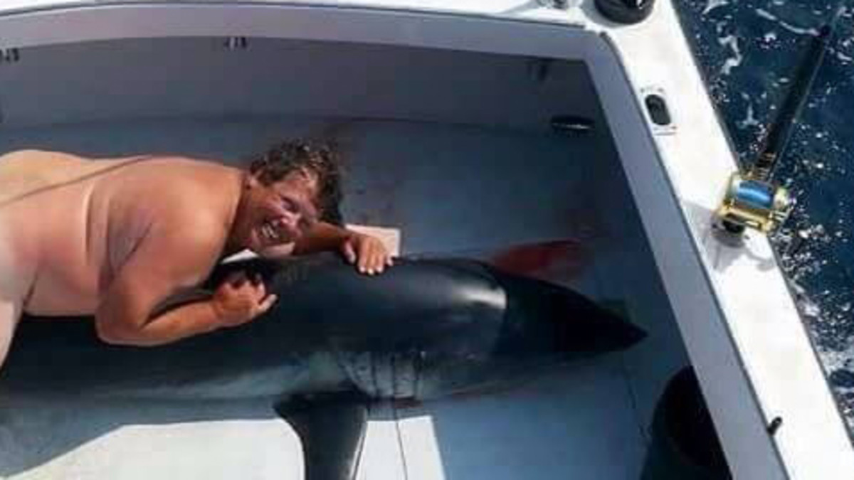 Jim McElwain and the Shark: What Really Happened?