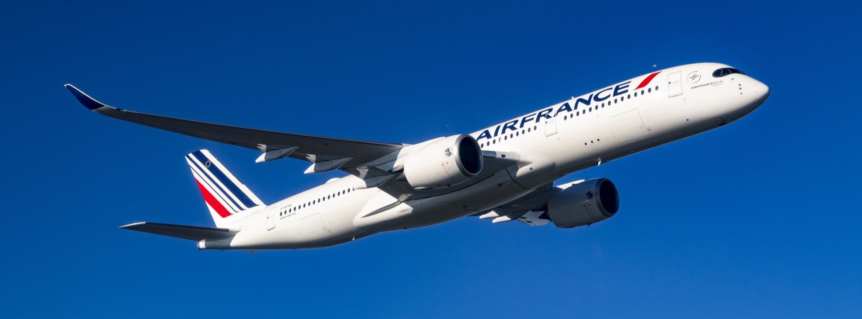 What is the best airline for phoenix to chennai? (Comparing options for comfort and price easily)