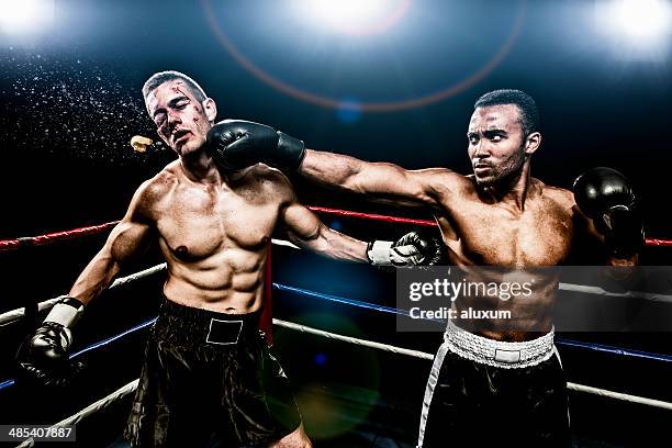 How do you get great ko pictures easily? Explore these fantastic examples of knockout photography.