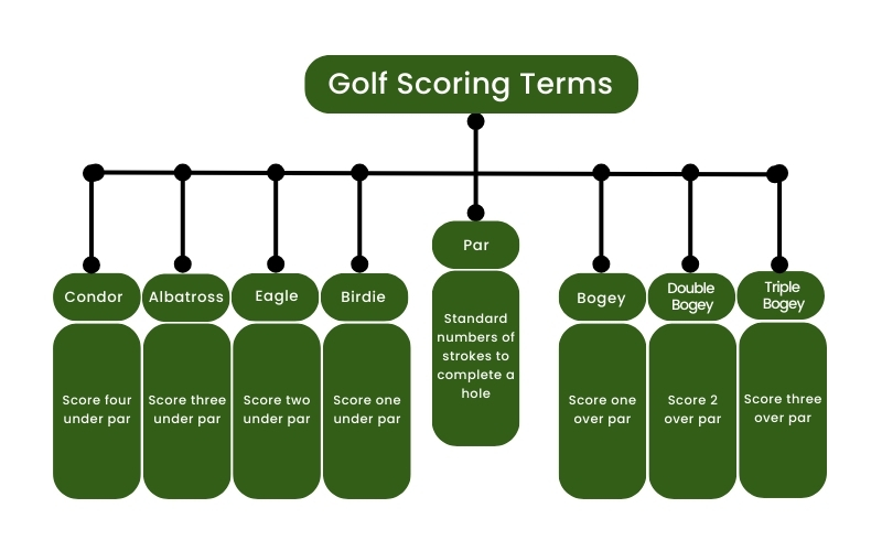 Birdie vs eagle: How do they compare? Know these scores to impress on the golf course.