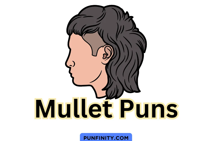 What are some classic mullet hair jokes? Weve compiled the most memorable ones for you.