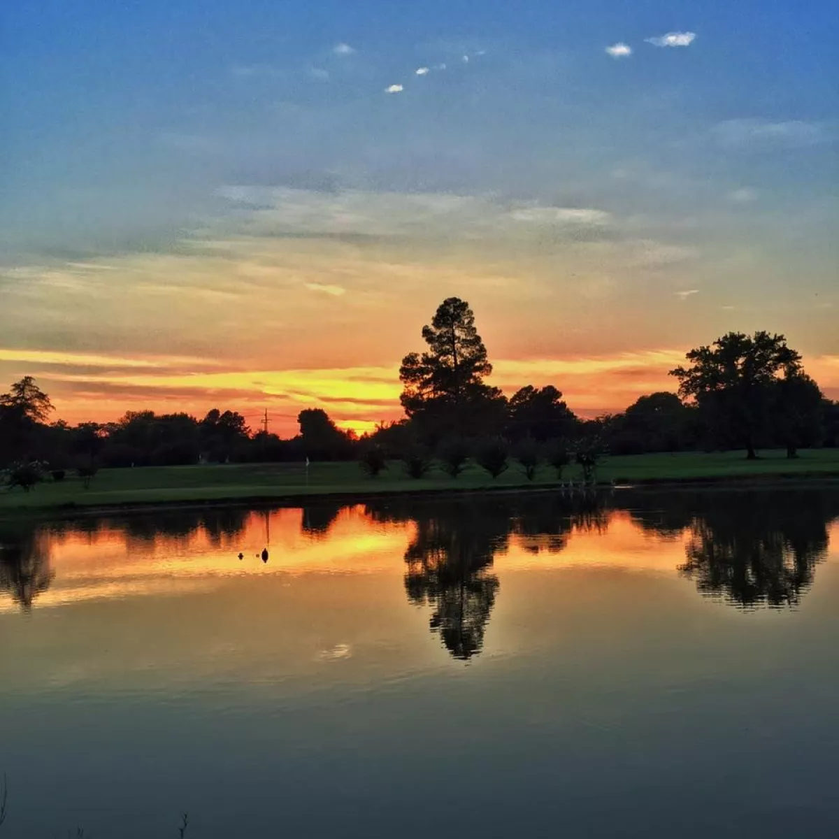 Looking for the best country club experience? Explore oak forest country club longview amenities and social events!