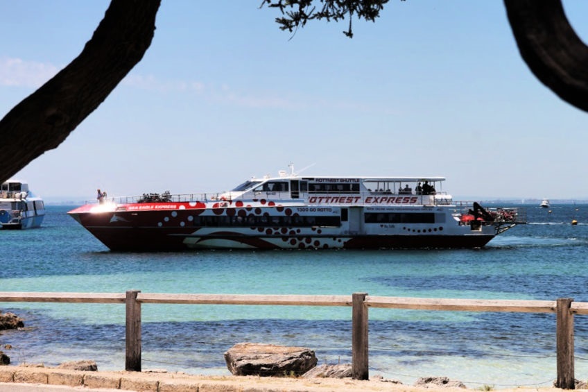 Need Rottnest Island ferry tickets for your day trip? Here are some easy ways to book your journey now.