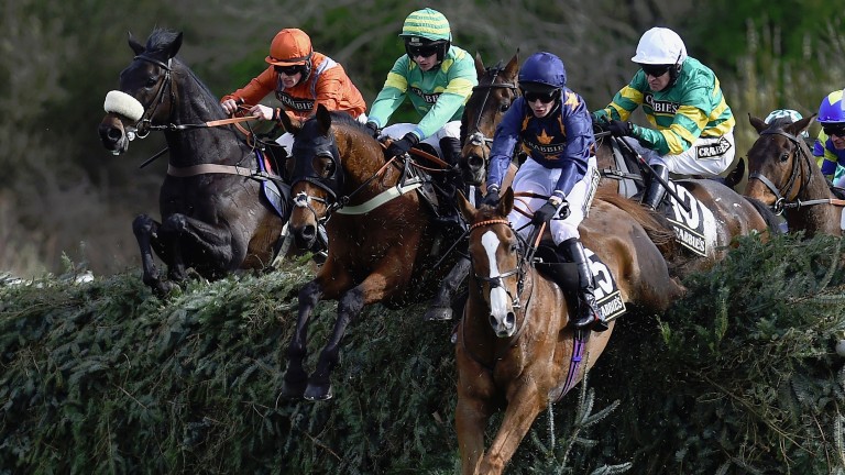 Betting Grand National: How to place your first bet (a very easy guide for all beginners).