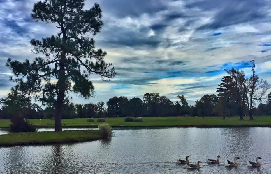 Looking for the best country club experience? Explore oak forest country club longview amenities and social events!