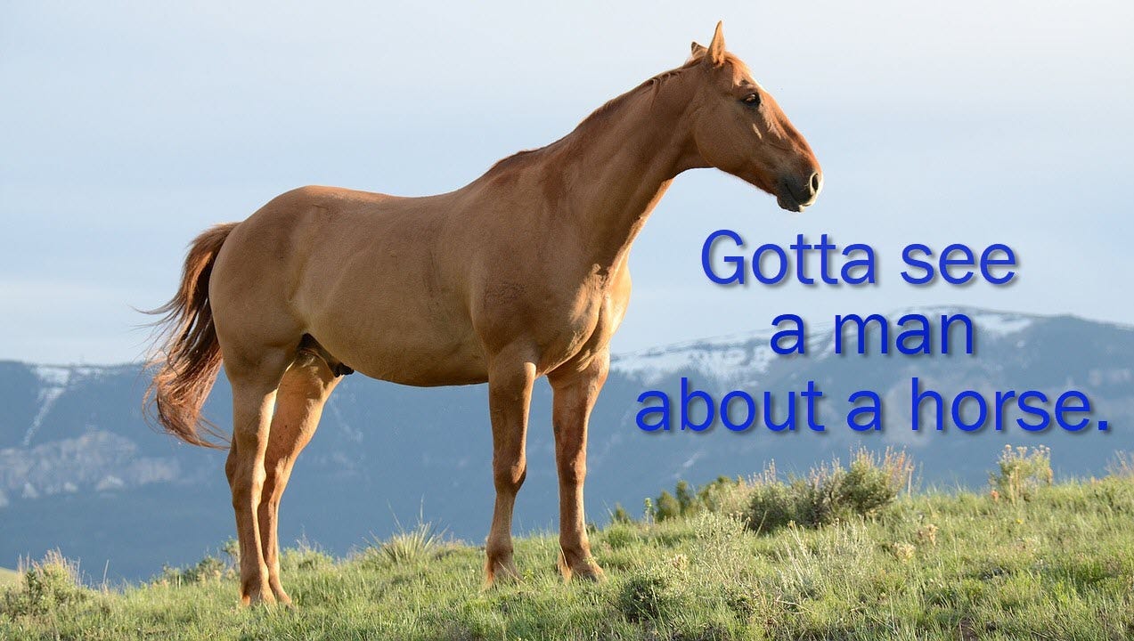 Is i gotta go see a man about a horse still used today? A look at this classic idioms modern use.