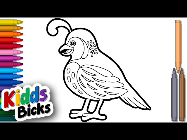 Learn Quail Drawing Under 10 Minutes Best Easy Techniques Revealed