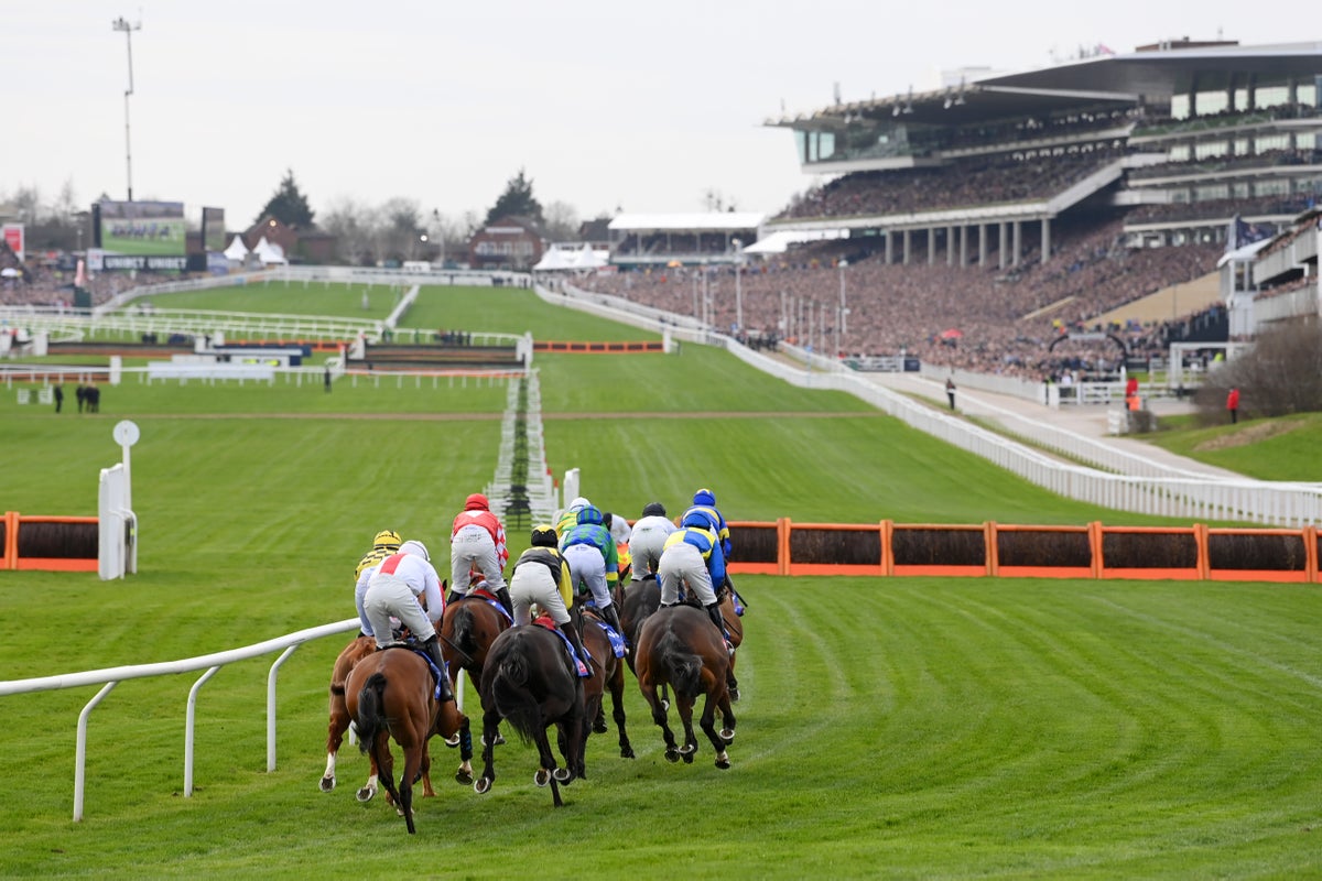 When is the Next Cheltenham Races Racecard Out? Be Ready and Stay Updated for Race Day!