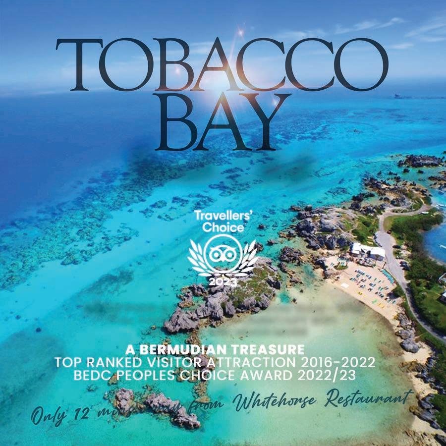 Bermuda Cup Match 2024: Best Hotels and Travel Tips