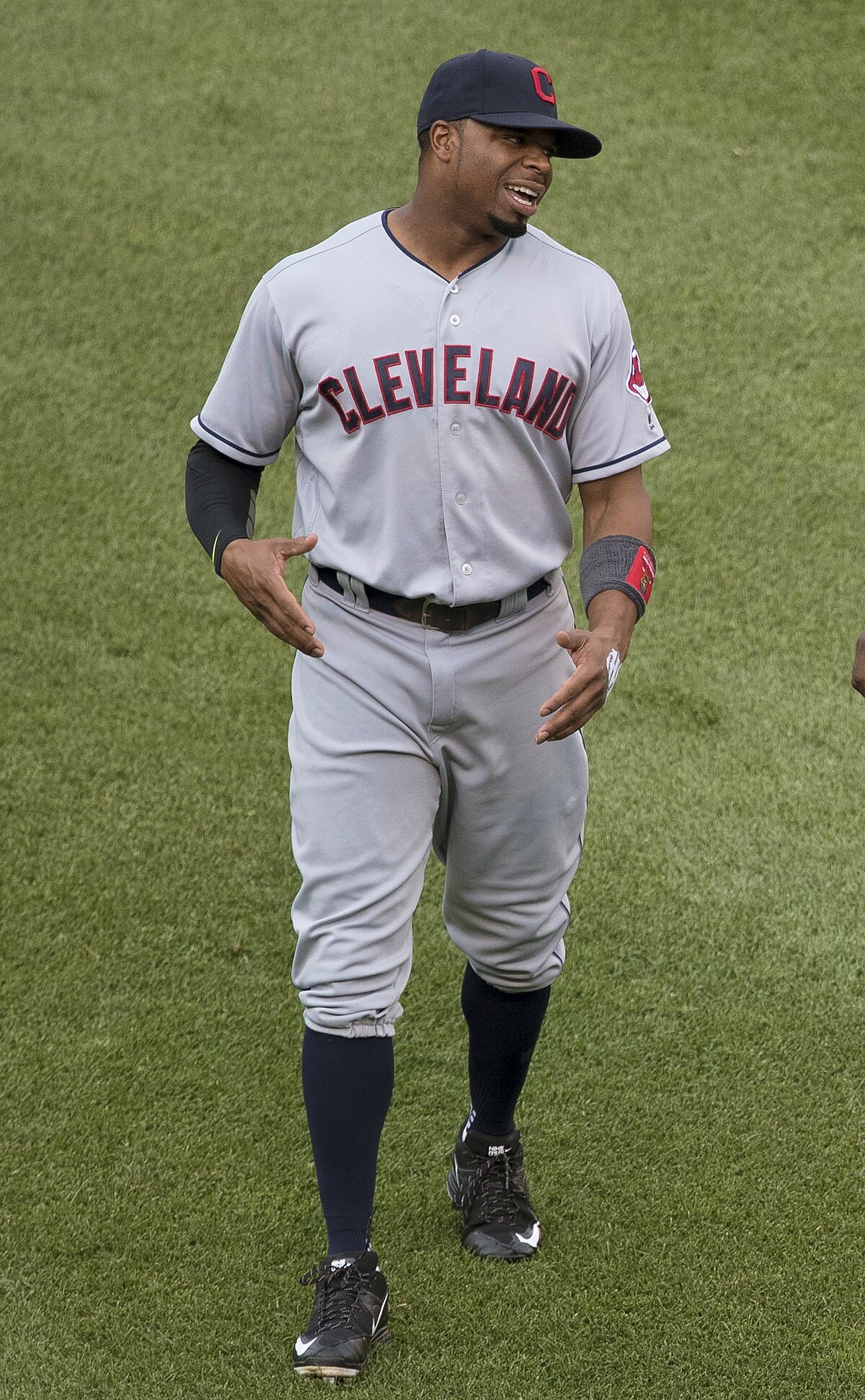 Why Rajas Davis? (Simple look)