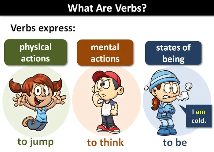 What are berbs and how should I use them? Learn these simple tricks for amazing berbs results!