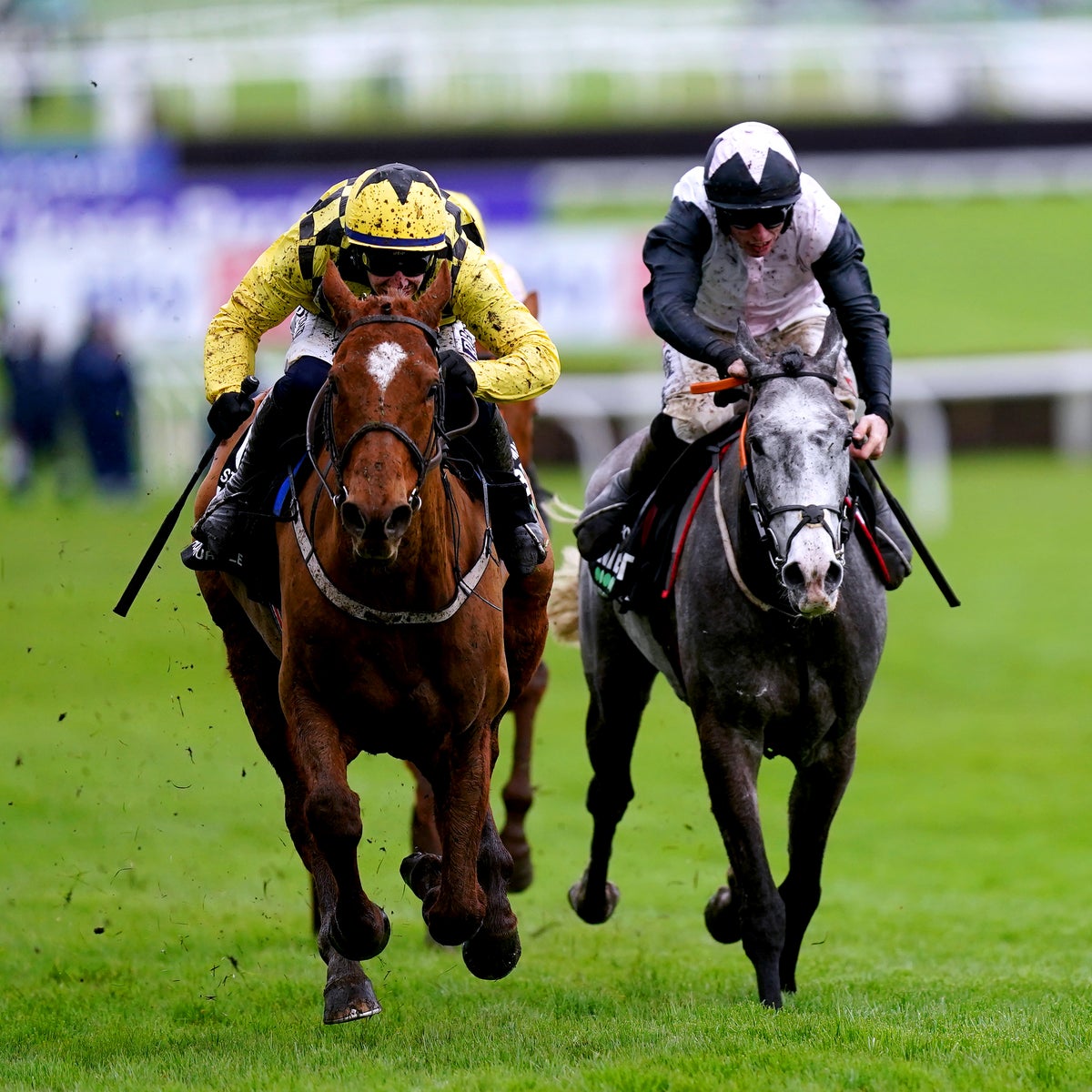 When is the Next Cheltenham Races Racecard Out? Be Ready and Stay Updated for Race Day!