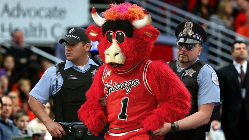 Benny the bull arrested: what are the charges? Get the latest updates on this crazy event.