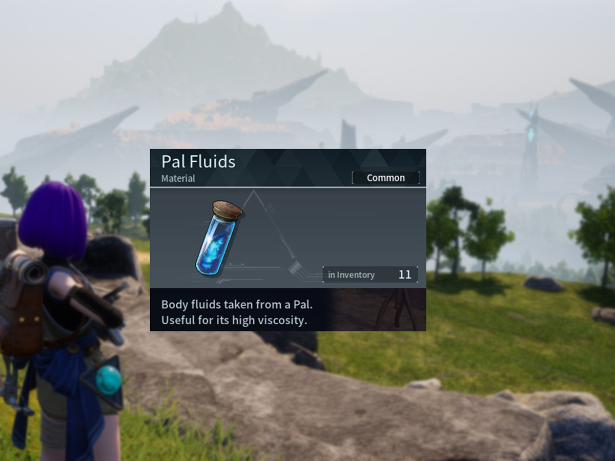 Looking for where can you buy pal fluid most affordably? Check out these simple but amazing tips for the best deals.