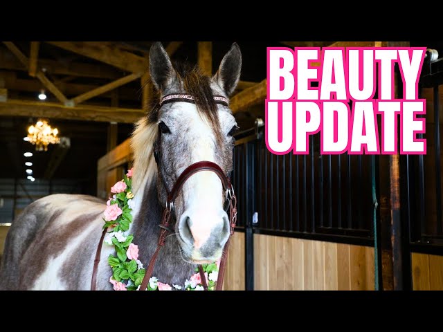 What Makes Great Free Spirit Equestrian Photos Must See Examples