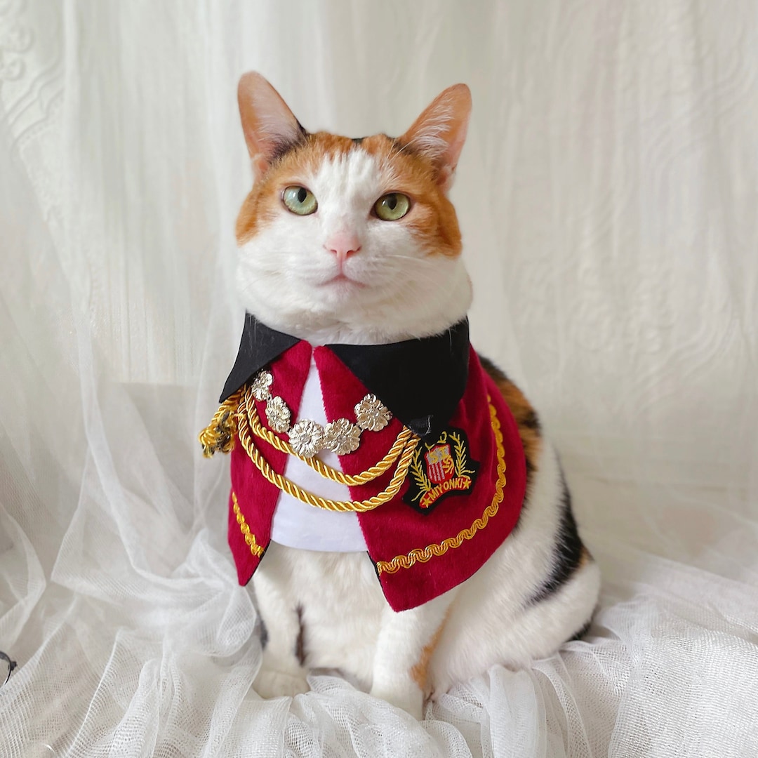 Top Royal Rags Costumes for Pets Find Your Favorite Style