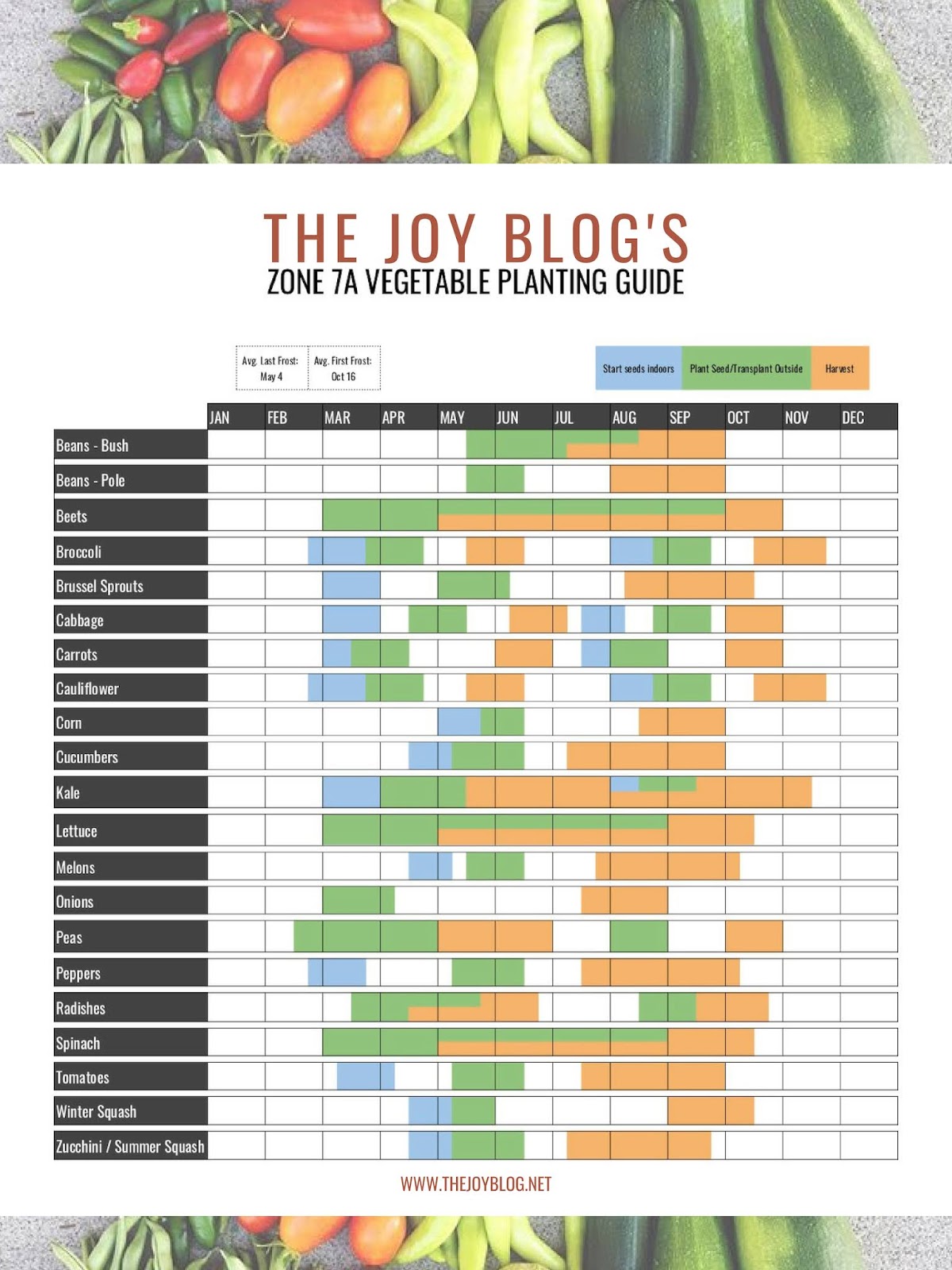 What Seeds To Start In January Zone 7 Top 10 Picks For Early Gardeners