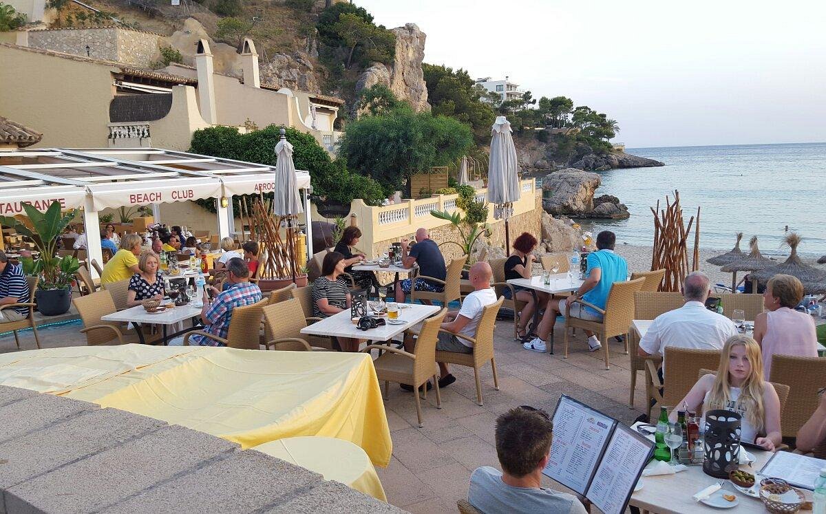 Where to Eat Near Camp de Mar Spain? 6 Great Spots for Food Lovers