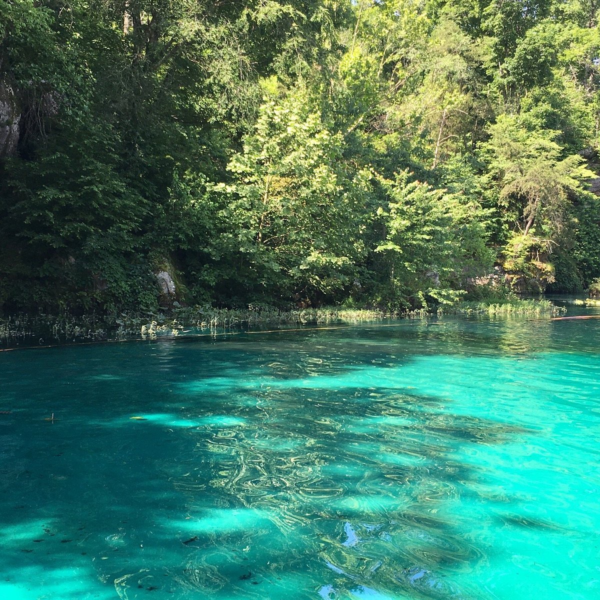 Fun Things to Do at Pennyrile Park Dawson Springs Family Adventure Ideas
