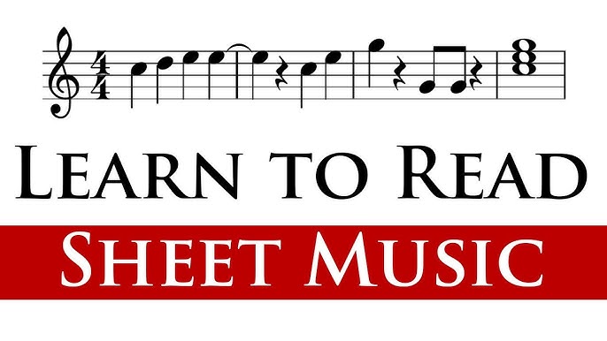 How to Use Vinciguerra? Learn Easy Steps for Beginners Today.