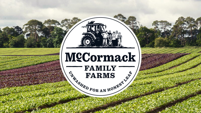 Why McCormack Farms is Great 5 Reasons to Visit This Season