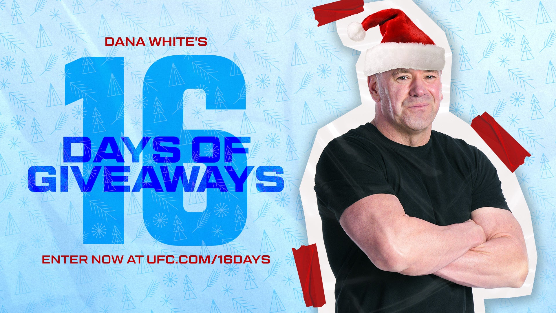 What is ufc.com/16days campaign? Learn about the fight today!