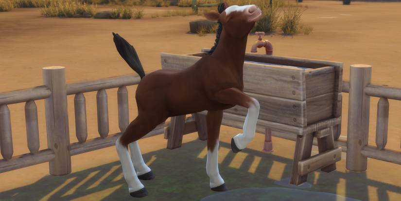 Sims 4 Age Up Horses How To Guide Simple Steps for Growing Foals