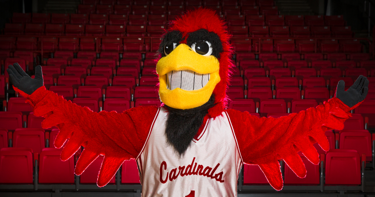 Why Cardinal Mascots Are So Popular: Discover Key Reasons Here