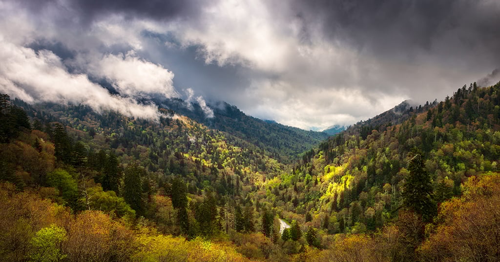 ben morton overlook