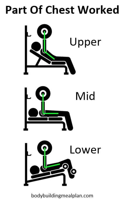 Incline and decline bench vs flat bench which gives better gains