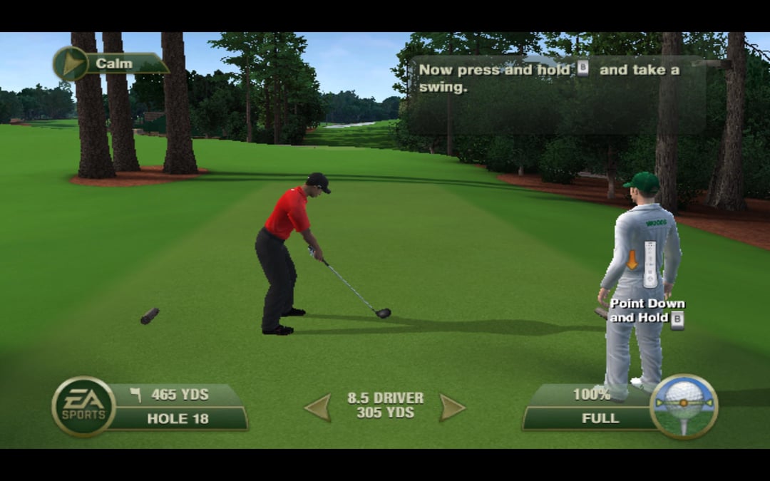 Best Settings for Tiger Woods Wii Game (Real Swing Controls Fix)
