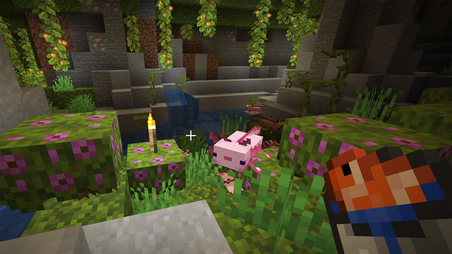 Want to Keep Axies? How to Tame Axolotls in Minecraft Successfully!