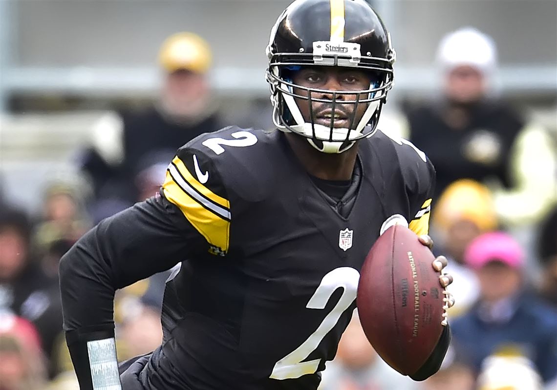 Mike Vick Pittsburgh Steelers Story What Really Happened Explained