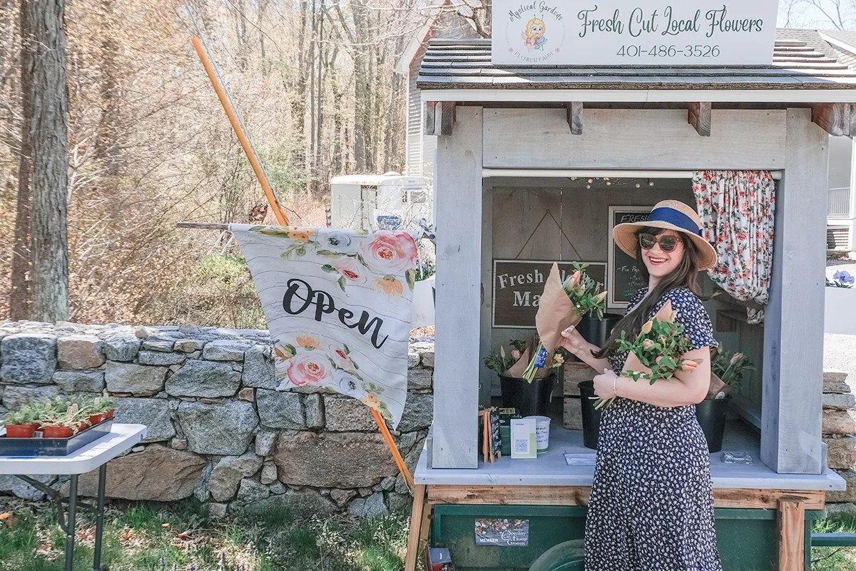 paradise ct things to do explore these amazing activities this year