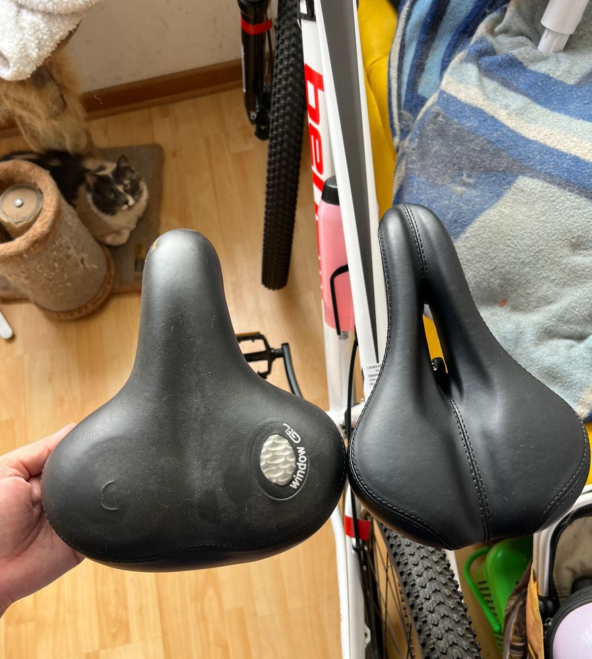 Back Seat for Cycle Problems Fix Common Issues in 10 Minutes